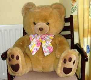 click for more on teddies