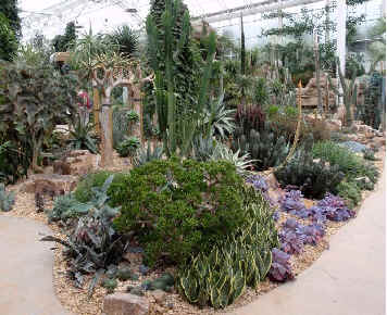 The 'Arid Zone' at Wisley