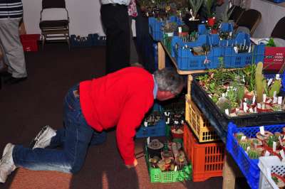 Plant sales at the BCSS Convention