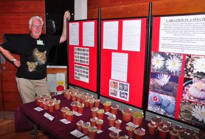 Eddt Harris with a display of Lithops