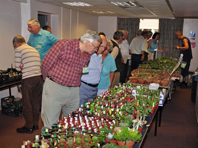 Plant sales at the BCSS Convention