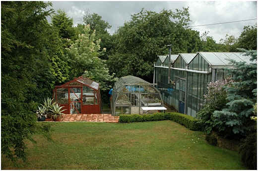 View in Graham Charles' garden with greenhouses