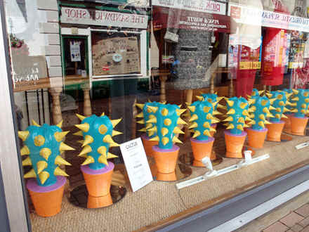 imitation cacti in a Banbury shop window
