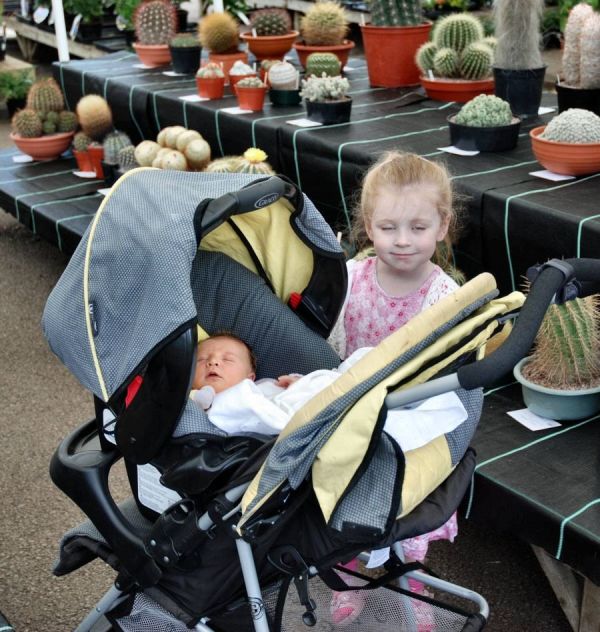 Young visitors at the cactus show